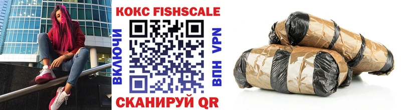 Купить где  Красноармейск  КОКАИН Fish Scale 