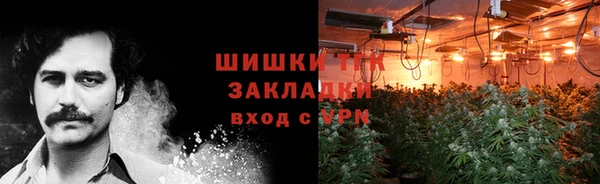 spice Инта