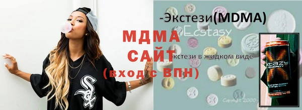 spice Инта