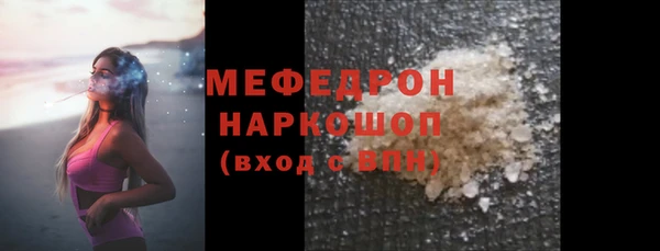 spice Инта