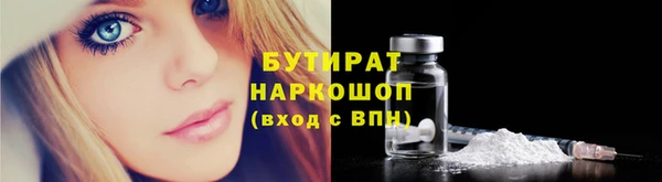 spice Инта