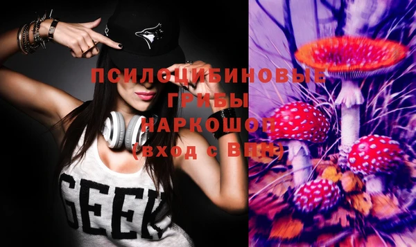 spice Инта