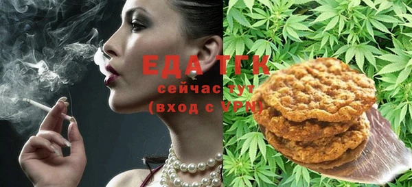 spice Инта