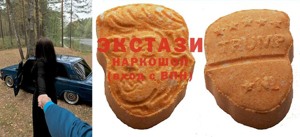 spice Инта