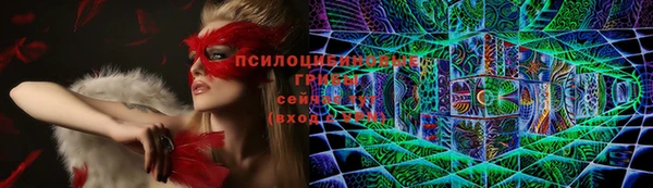 spice Инта