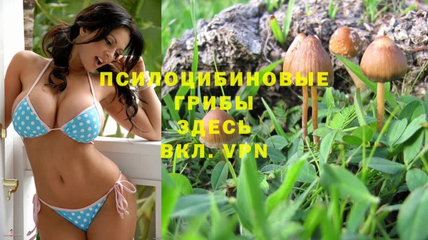 spice Инта